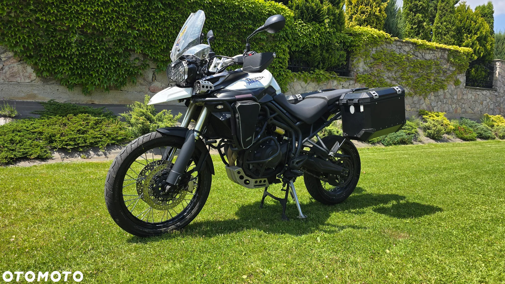 Triumph Tiger - 2