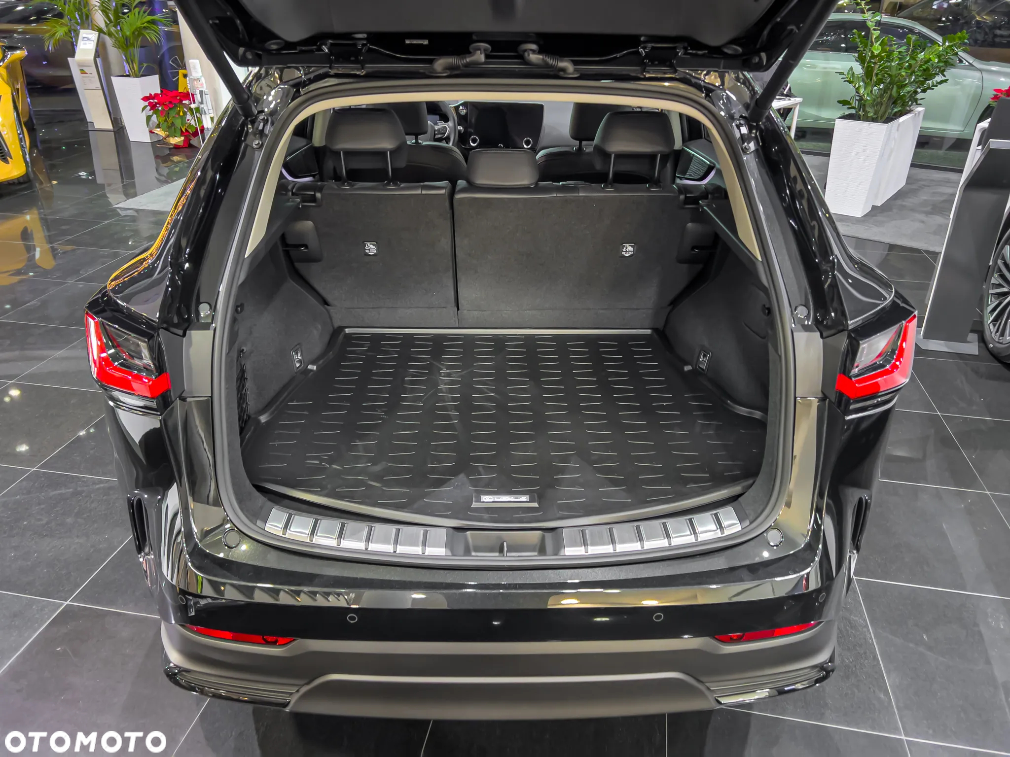 Lexus NX - 12