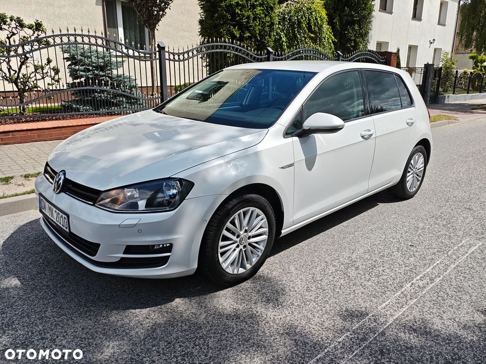 Volkswagen Golf 1.6 TDI BlueMotion Technology Cup - 10