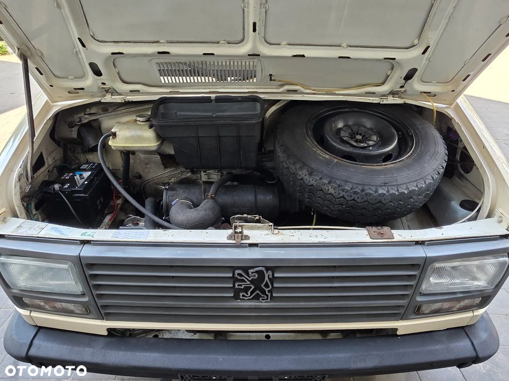 Peugeot J5 - 29
