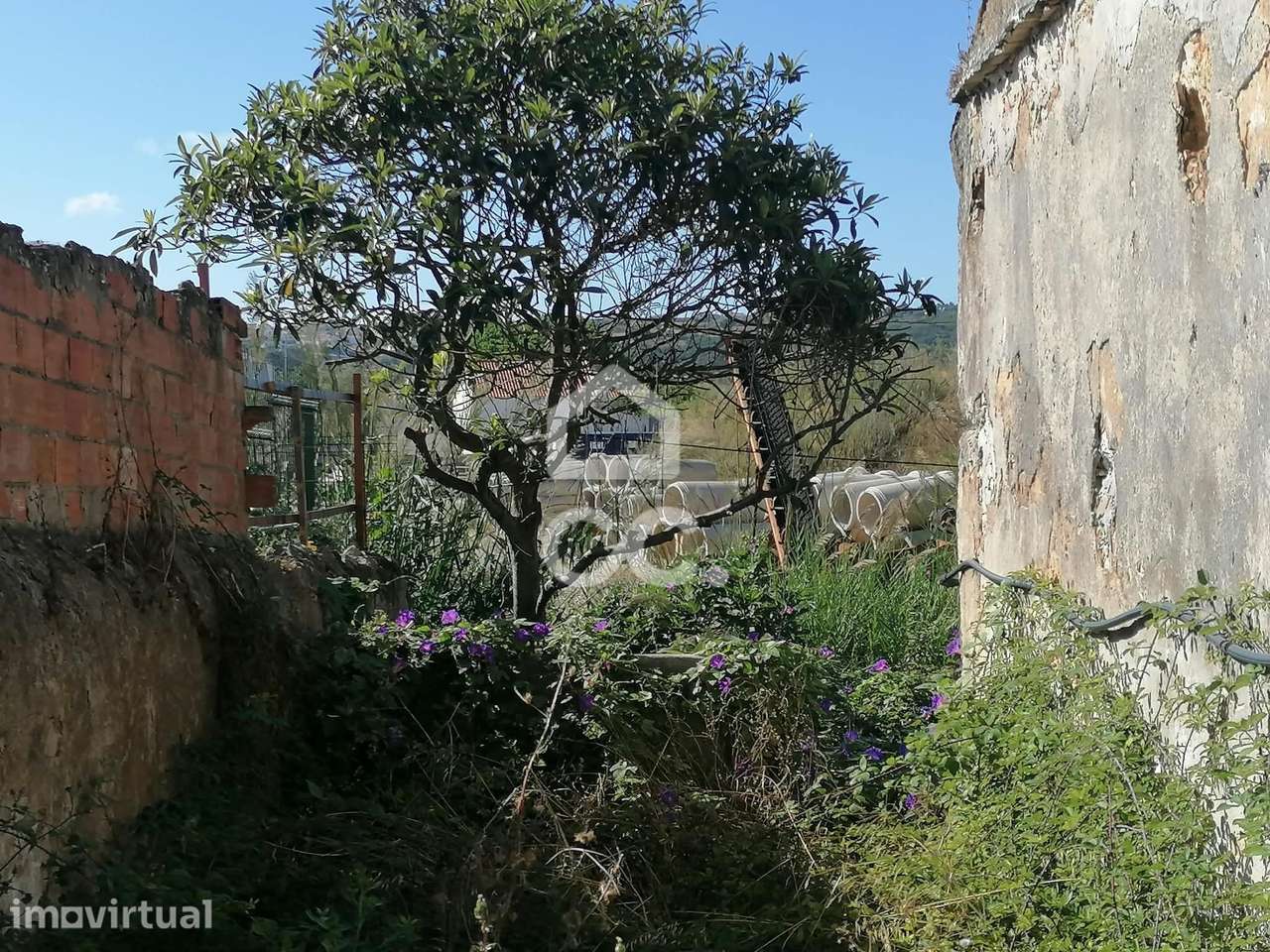 Moradia T2 para recuperar e terreno com viabilidade construtiva, em Ób - Grande imagem: 3/17