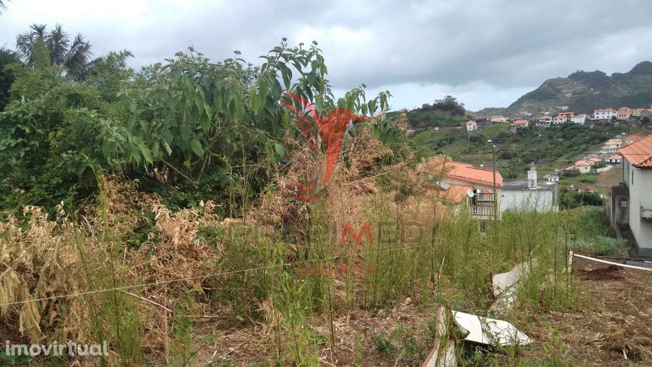 Terreno para construção , localizado em Porto da Cruz - Grande imagem: 5/6