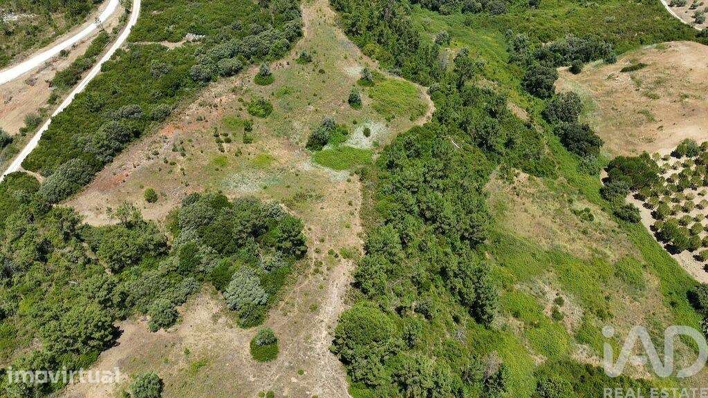 Terreno Agrícola em Azambujeira e Malaqueijo - Grande imagem: 5/39