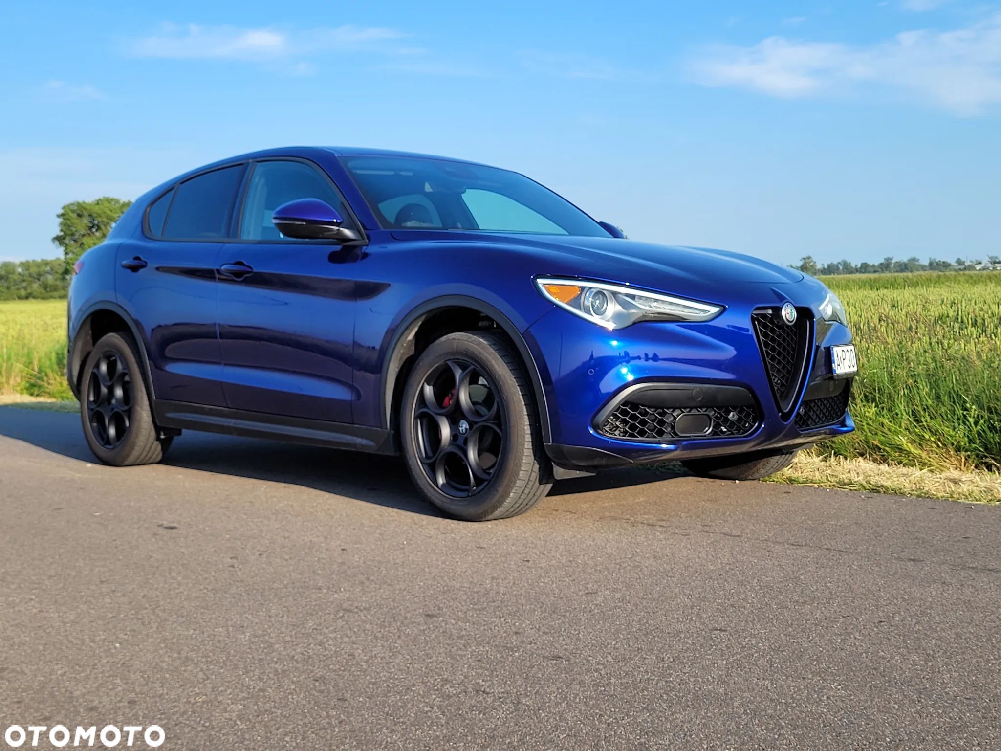 Alfa Romeo Stelvio 2.0 Turbo Sprint Q4 - 1