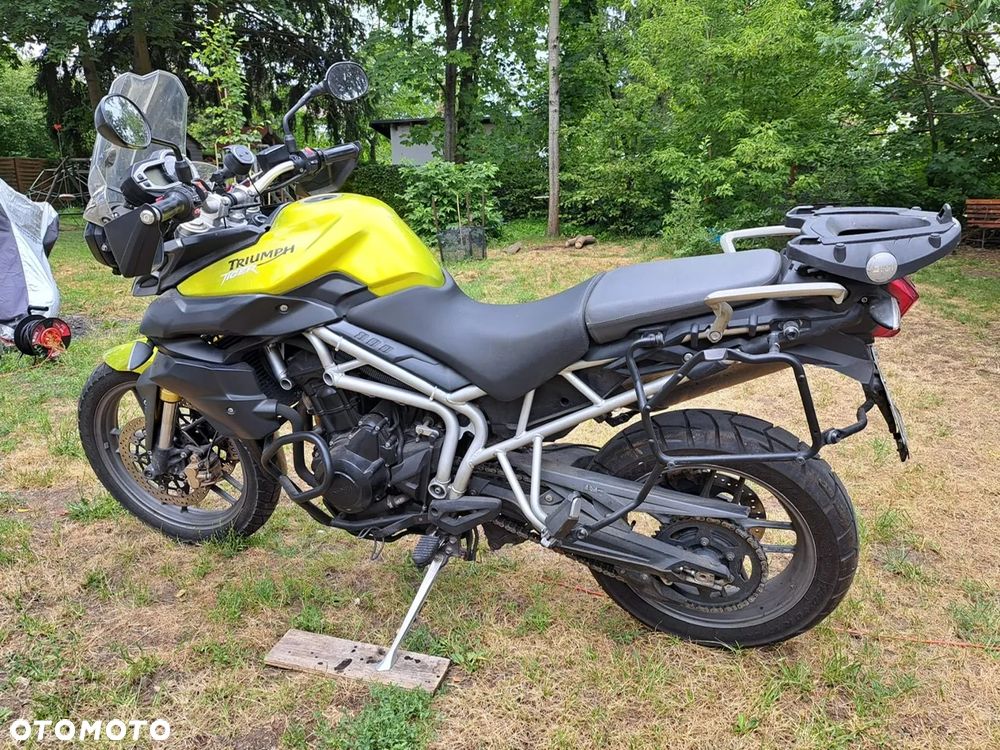 Triumph Tiger - 6
