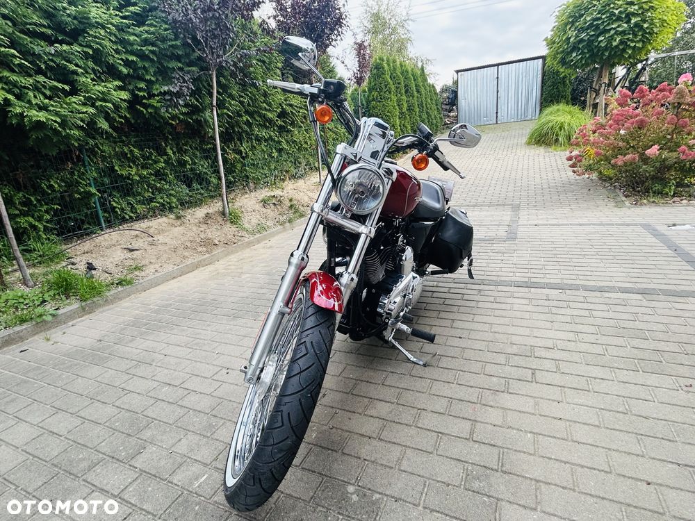 Harley-Davidson Sportster Custom 1200C - 2