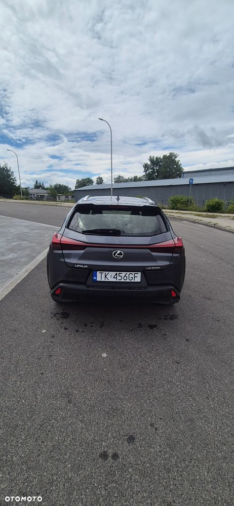 Lexus UX 250h - 4