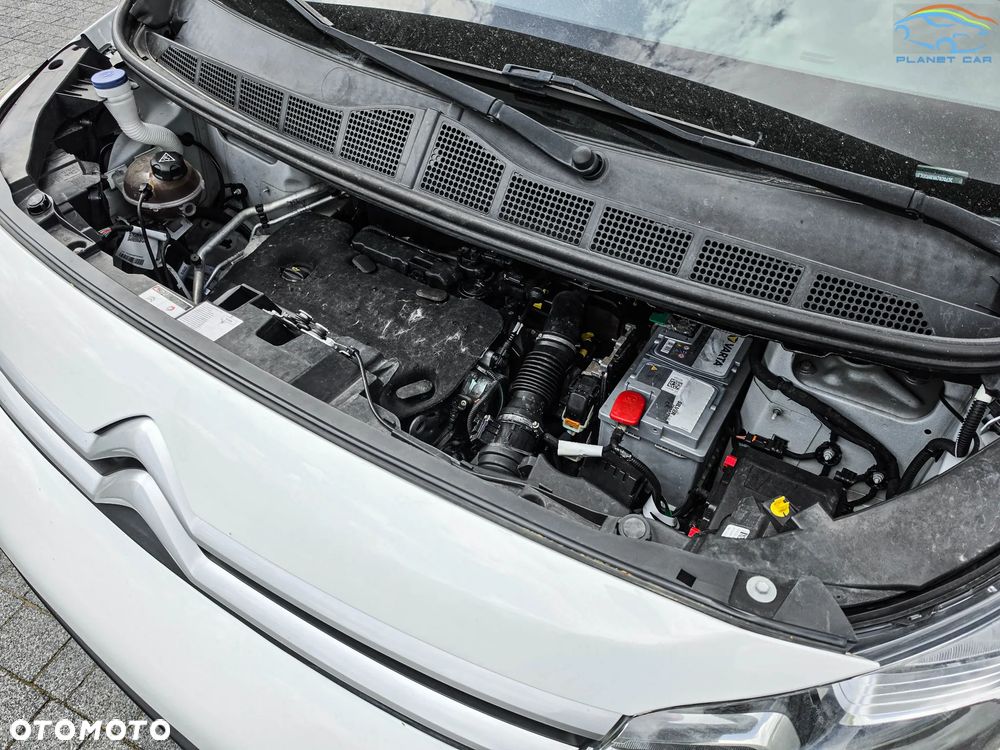 Citroën Jumpy III 2.0 BlueHDi 122KM Zabudowa Do Przewozu Zwierząt - 18