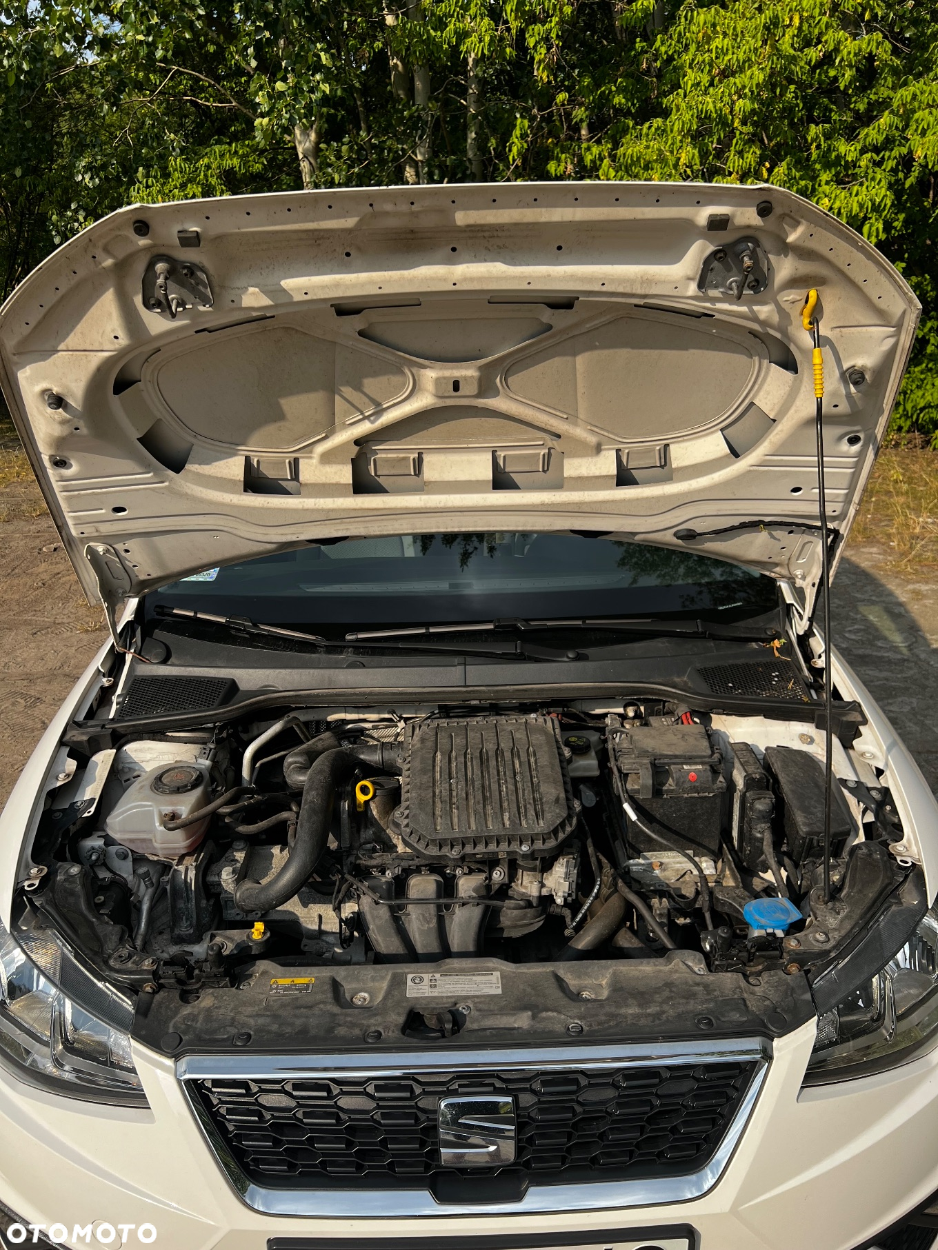 Seat Ibiza - 5