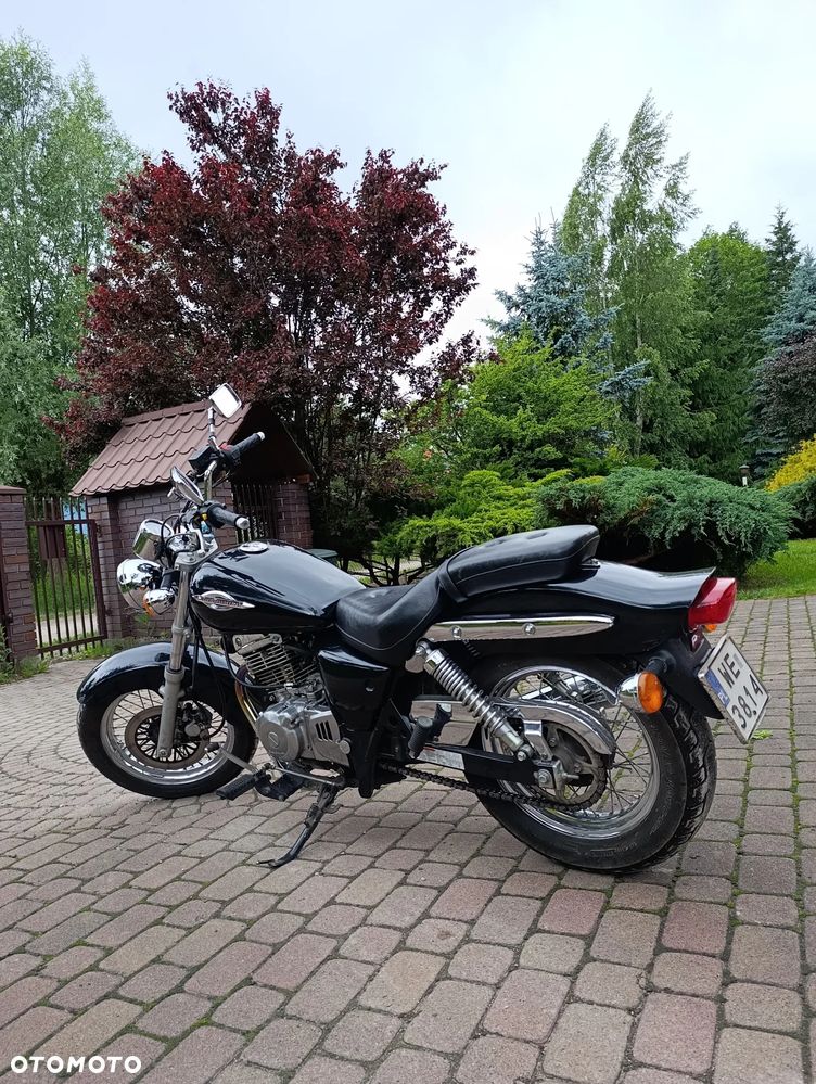 Suzuki Marauder - 4
