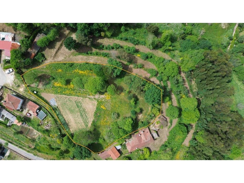 Terreno para Construção 2.640 m² | Rebordões Souto - Ponte de Lima - Grande imagem: 3/8