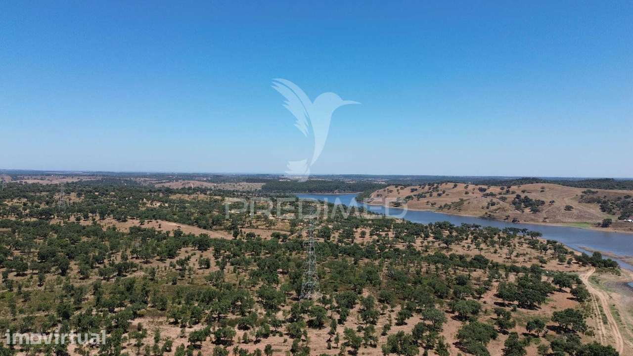 Propriedade de 43,5 Hectares junto à Barragem de Campilhas | Santia... - Grande imagem: 4/6