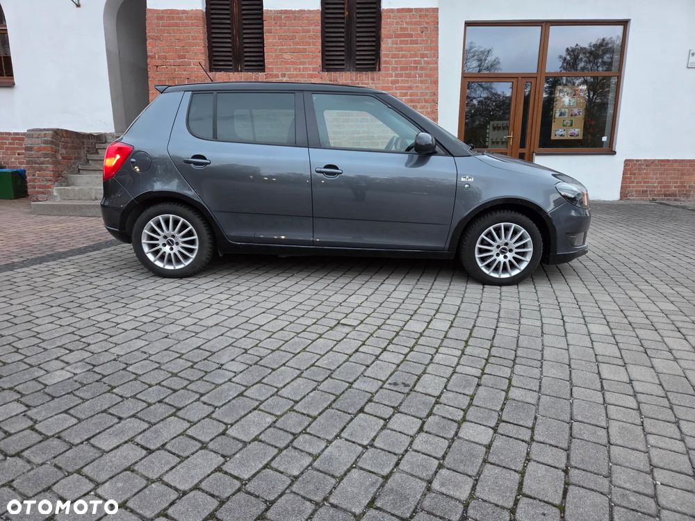 Skoda Fabia 2011 photo 2