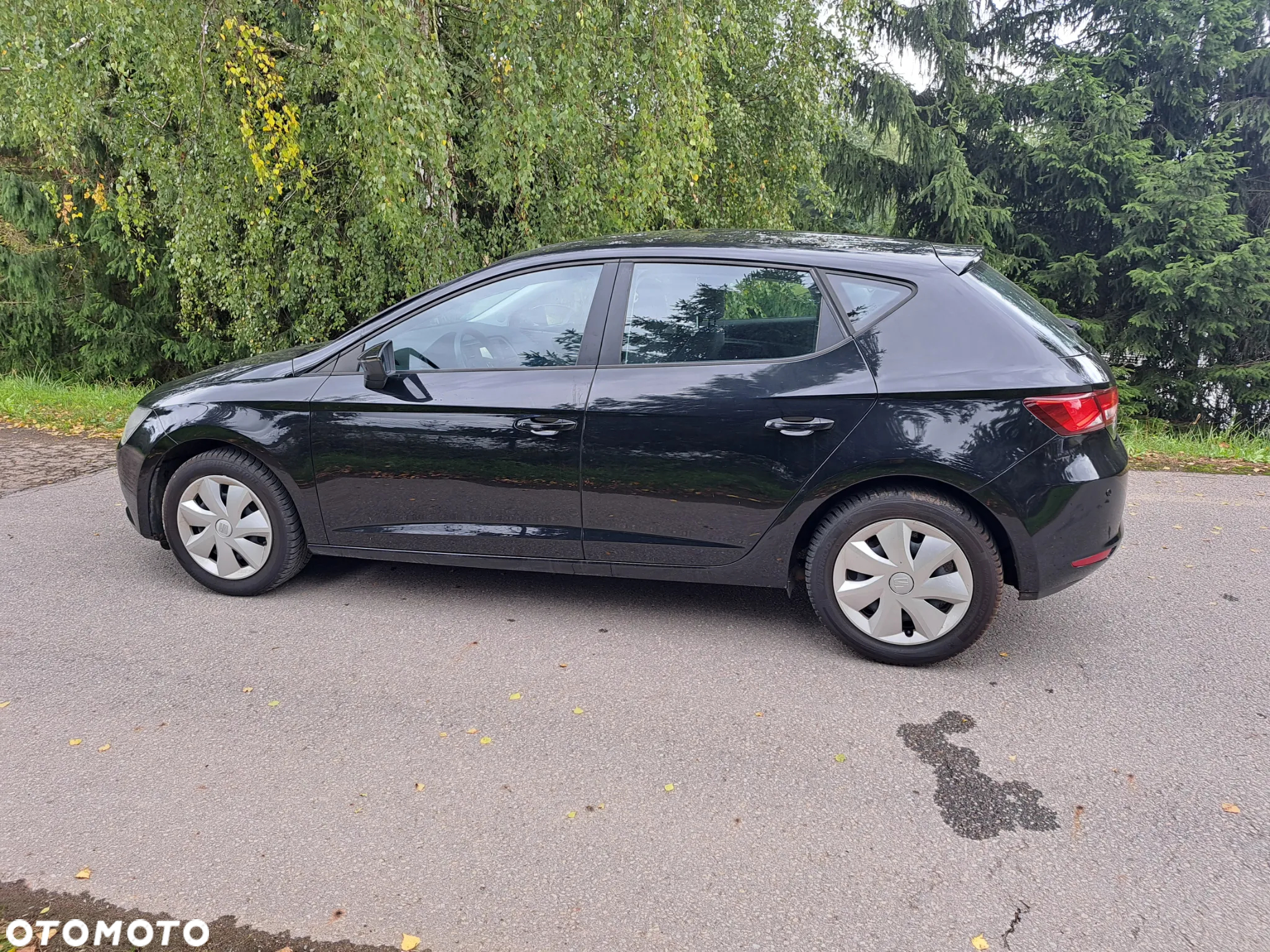 Seat Leon - 12