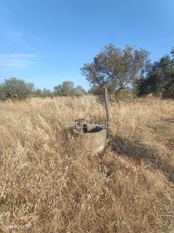 Terrenos Rústicos com Rega | Godinha, Campo Maior