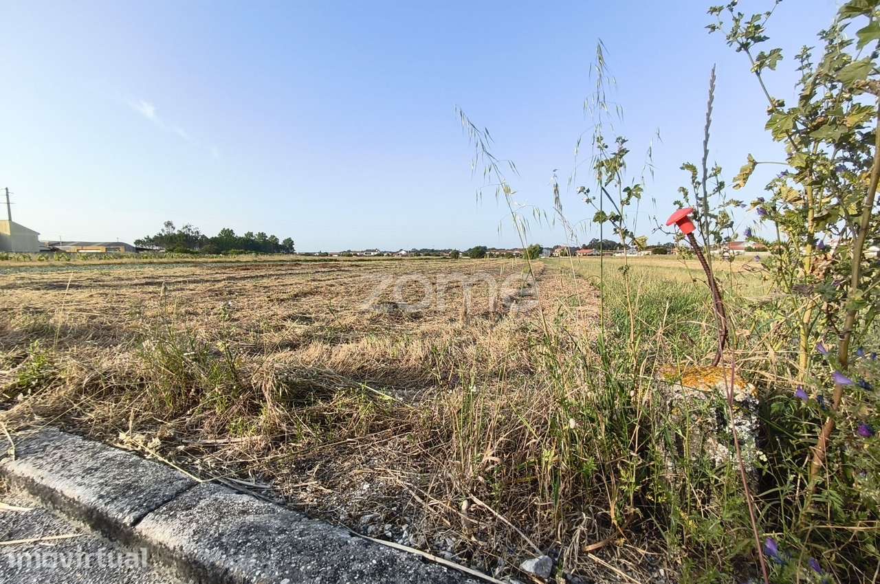 Terreno com 2528 m2 urbanizável - Lombomeão, Vagos - Grande imagem: 4/7