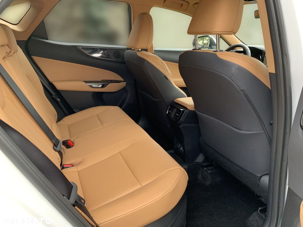Lexus NX - 17