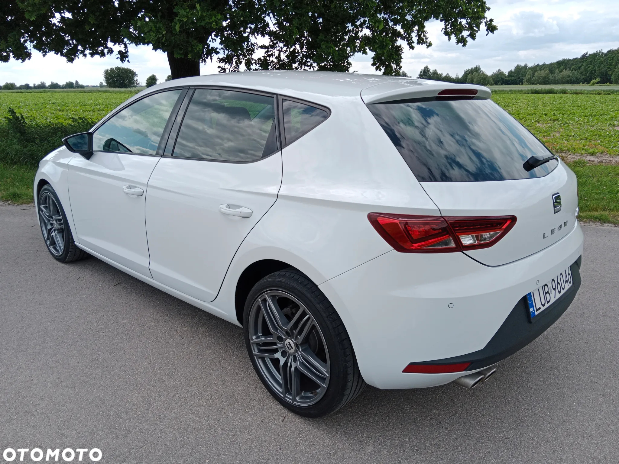 Seat Leon - 15