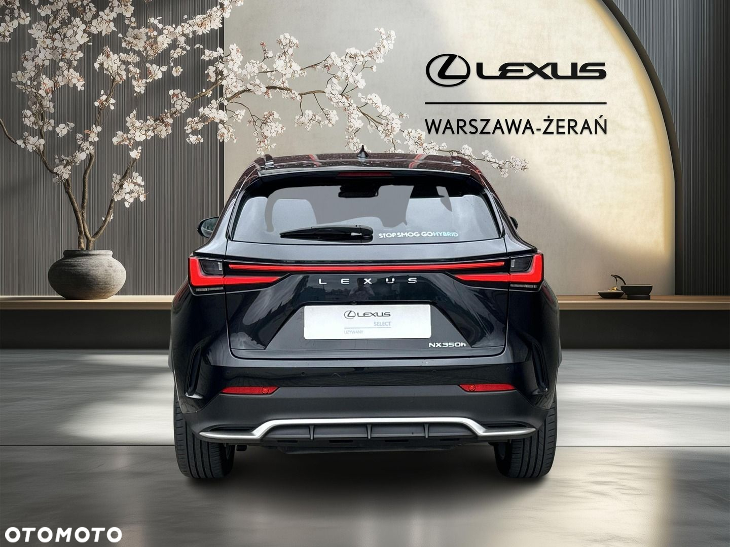 Lexus NX - 5