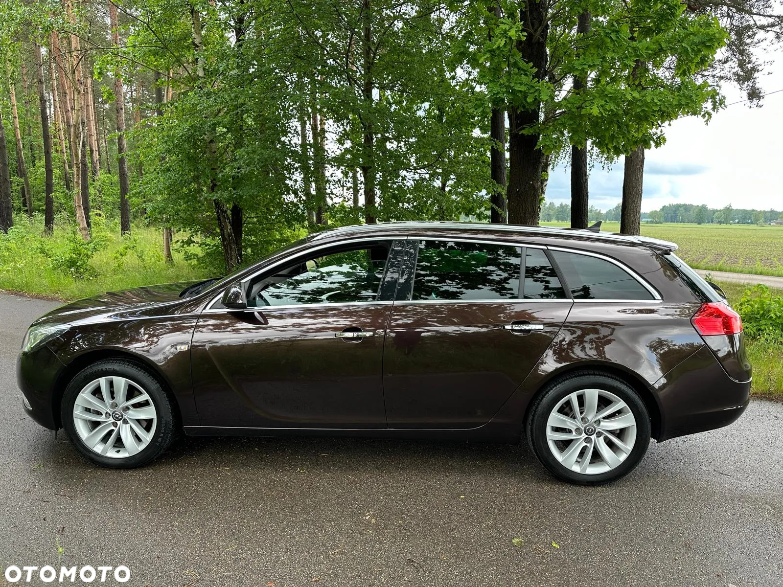Opel Insignia 2.0 CDTI 4x4 Sports Tourer ecoFLEXStart/S - 5