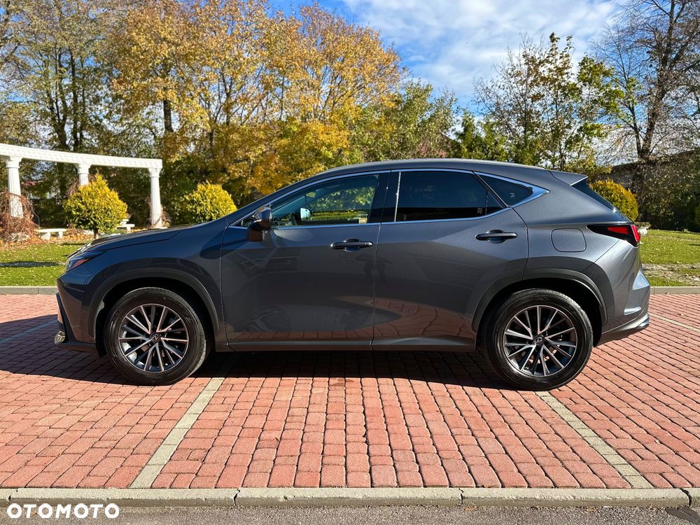 Lexus NX 350h Prestige 2WD - 2