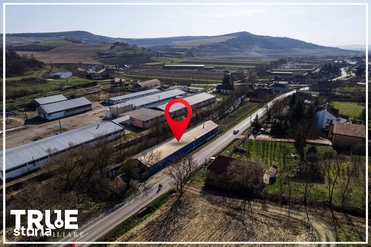 Hală de producție și depozitare - Voiniceni, Mureș - Imagine principală: 2/20