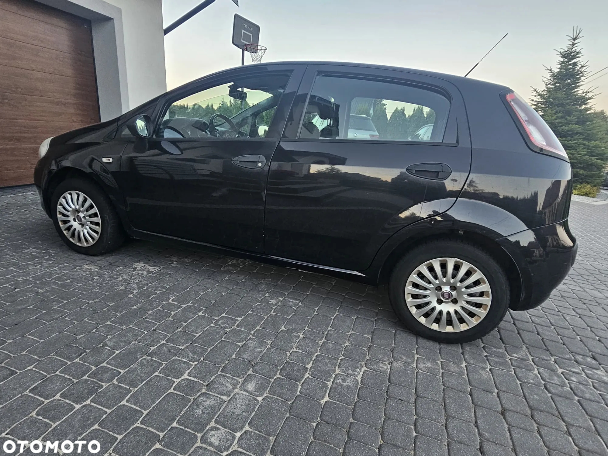 Fiat Punto 1.2 8V Classic - 12