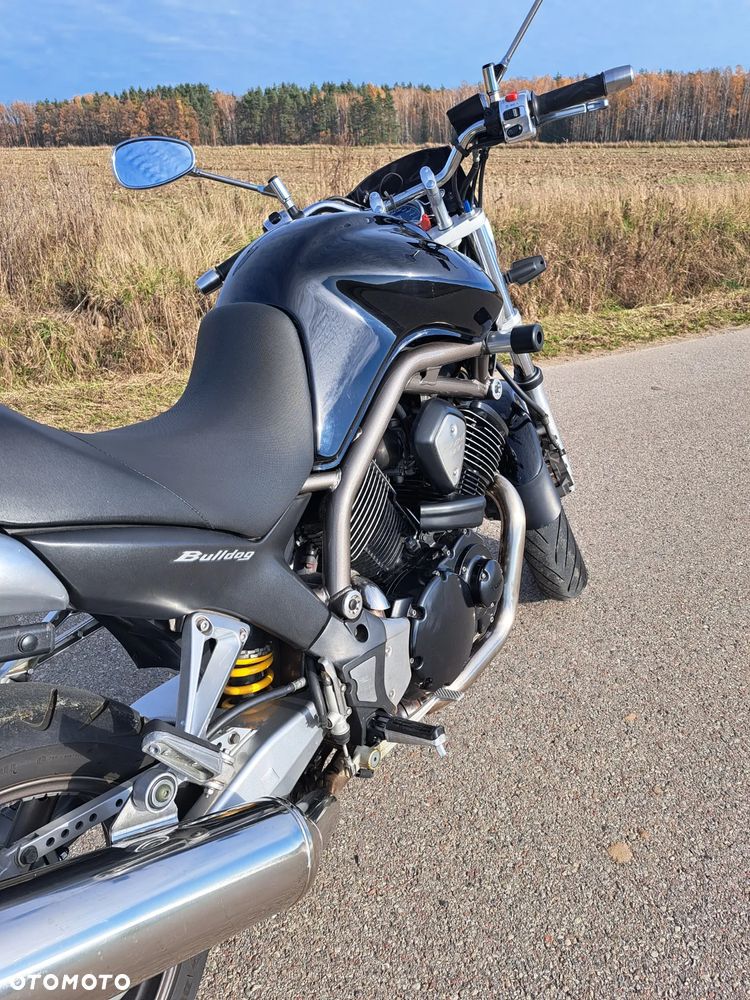 Yamaha Bulldog - 5