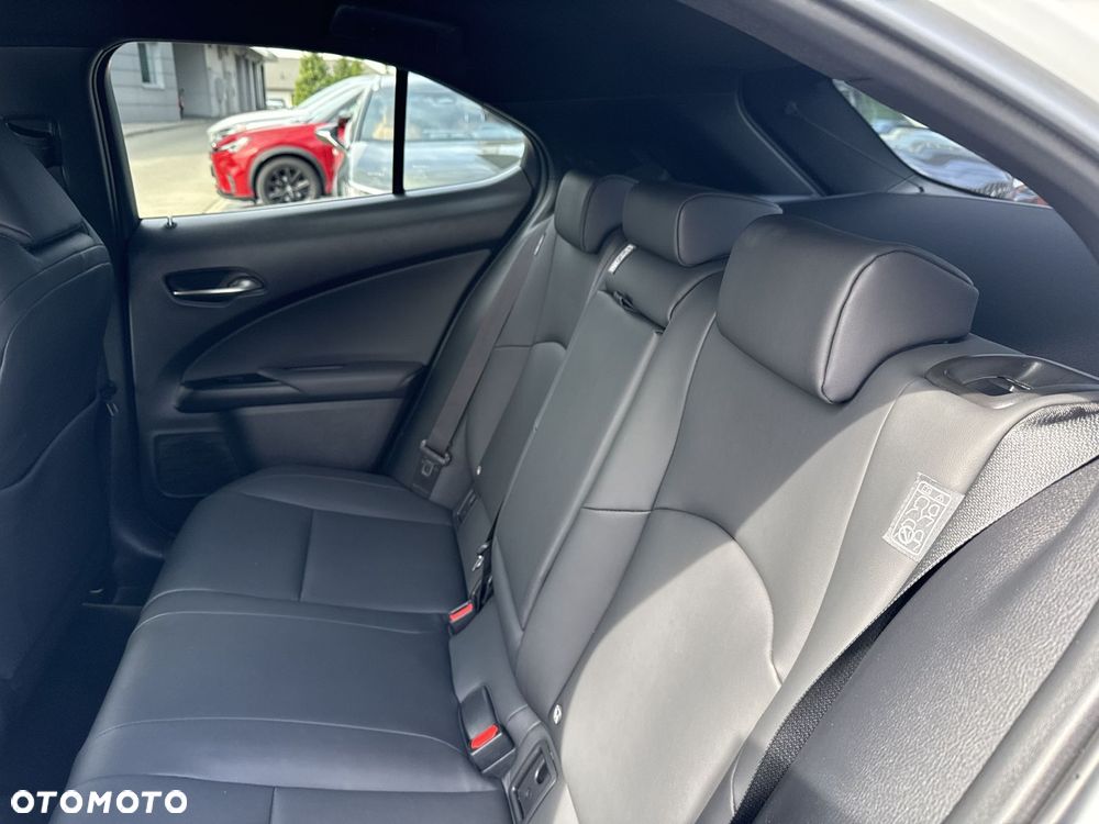 Lexus UX 250h GPF F Sport Design+ 2WD - 14