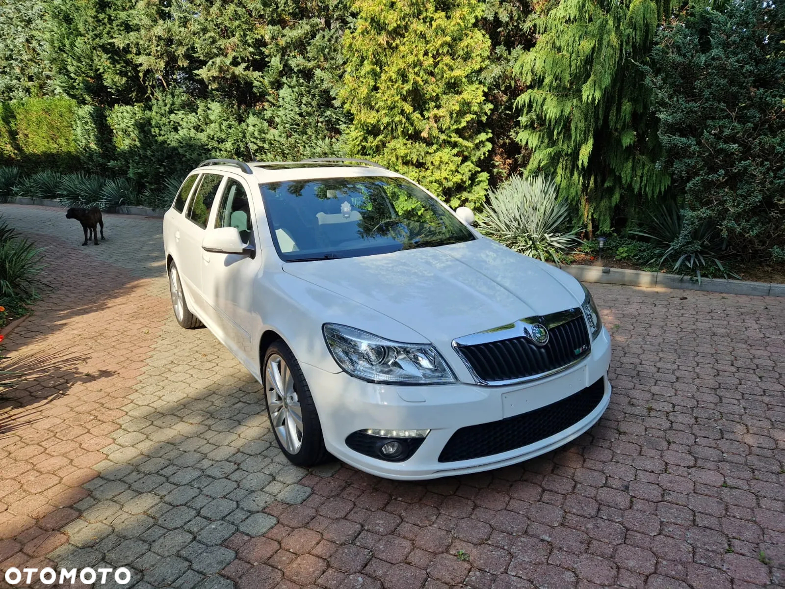 Skoda Octavia 2.0 TDI CR DPF DSG RS - 4