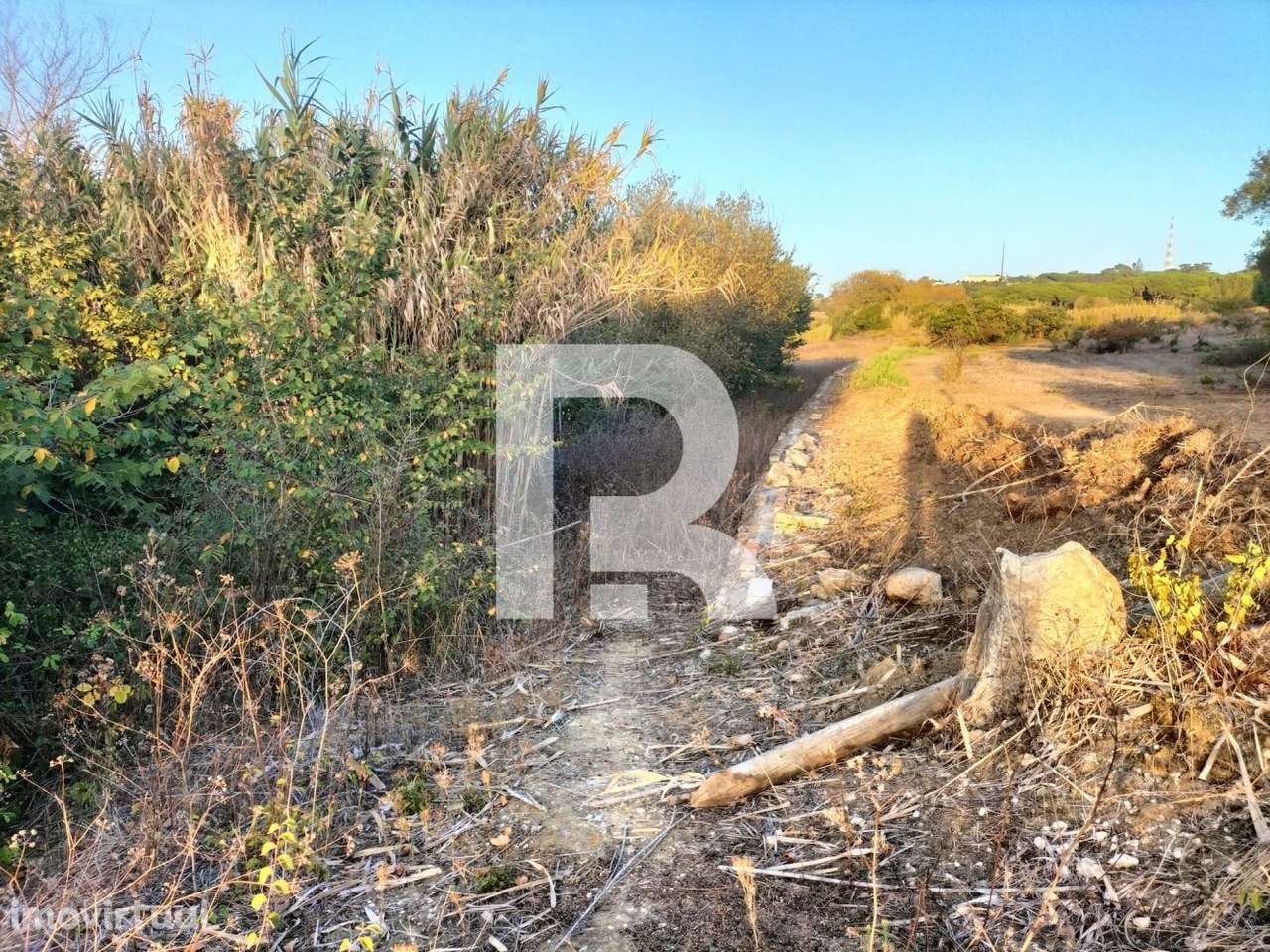 Terreno Rústico em Janas - Grande imagem: 3/12