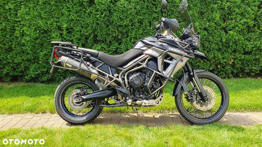 Triumph Tiger - 9