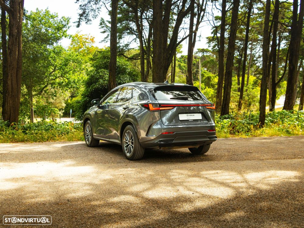 Lexus NX 450h+ Executive - 3