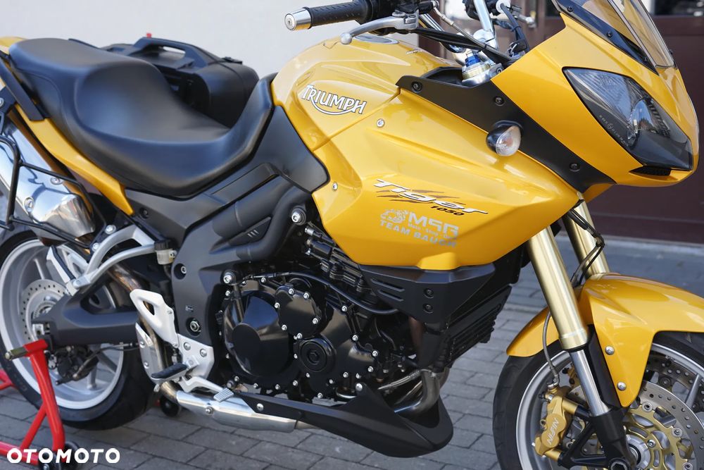 Triumph Tiger - 13