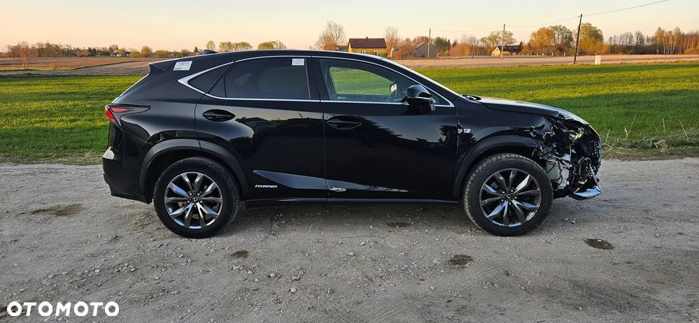 Lexus NX - 6