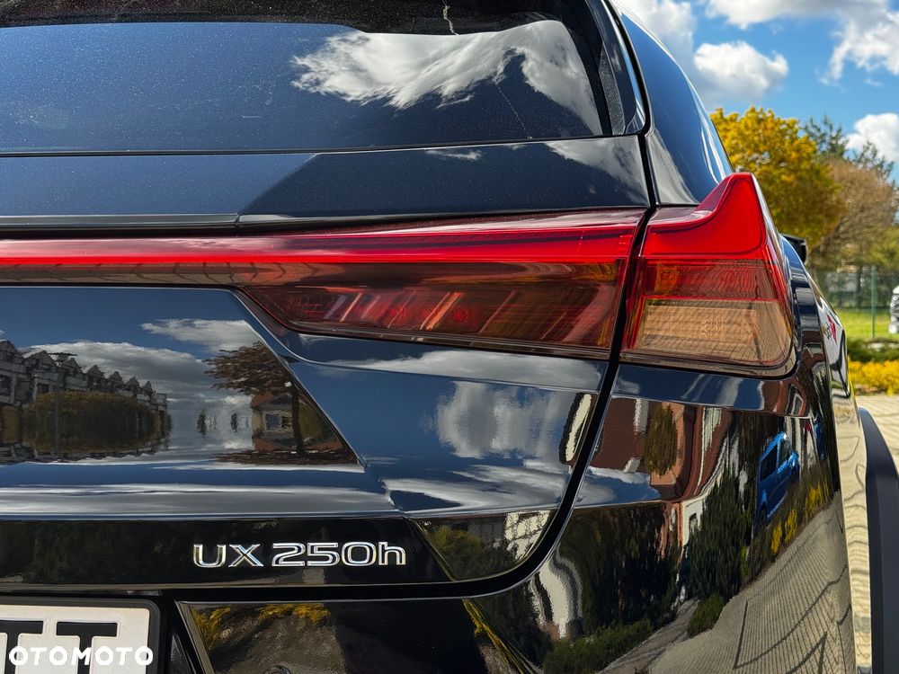 Lexus UX - 13