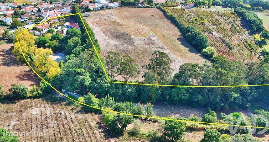 Quinta T5 em Carvalhal de 548 m2 - Grande imagem: 3/40