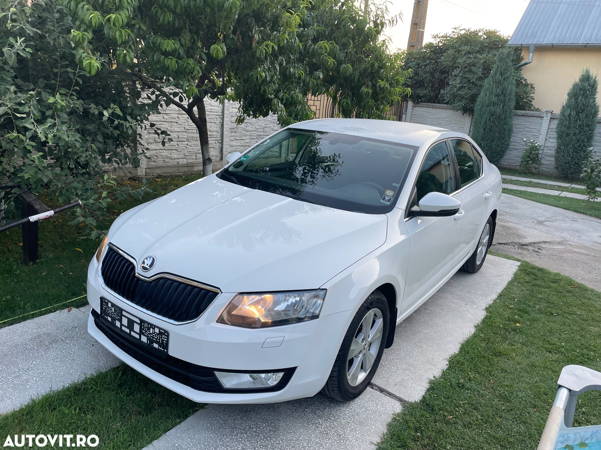 Skoda Octavia - 12