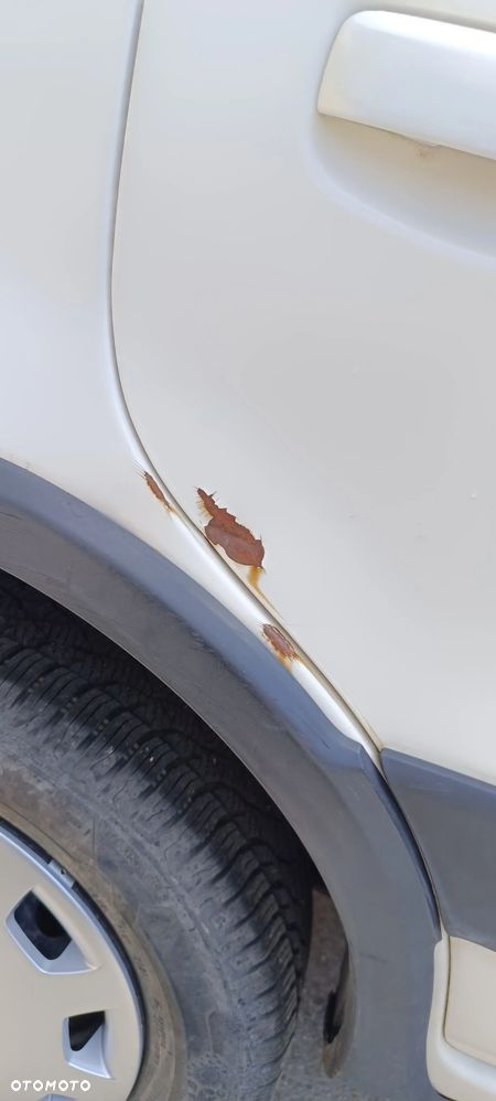 Fiat Panda 1.3 Multijet Climbing S&S 4x4 - 8