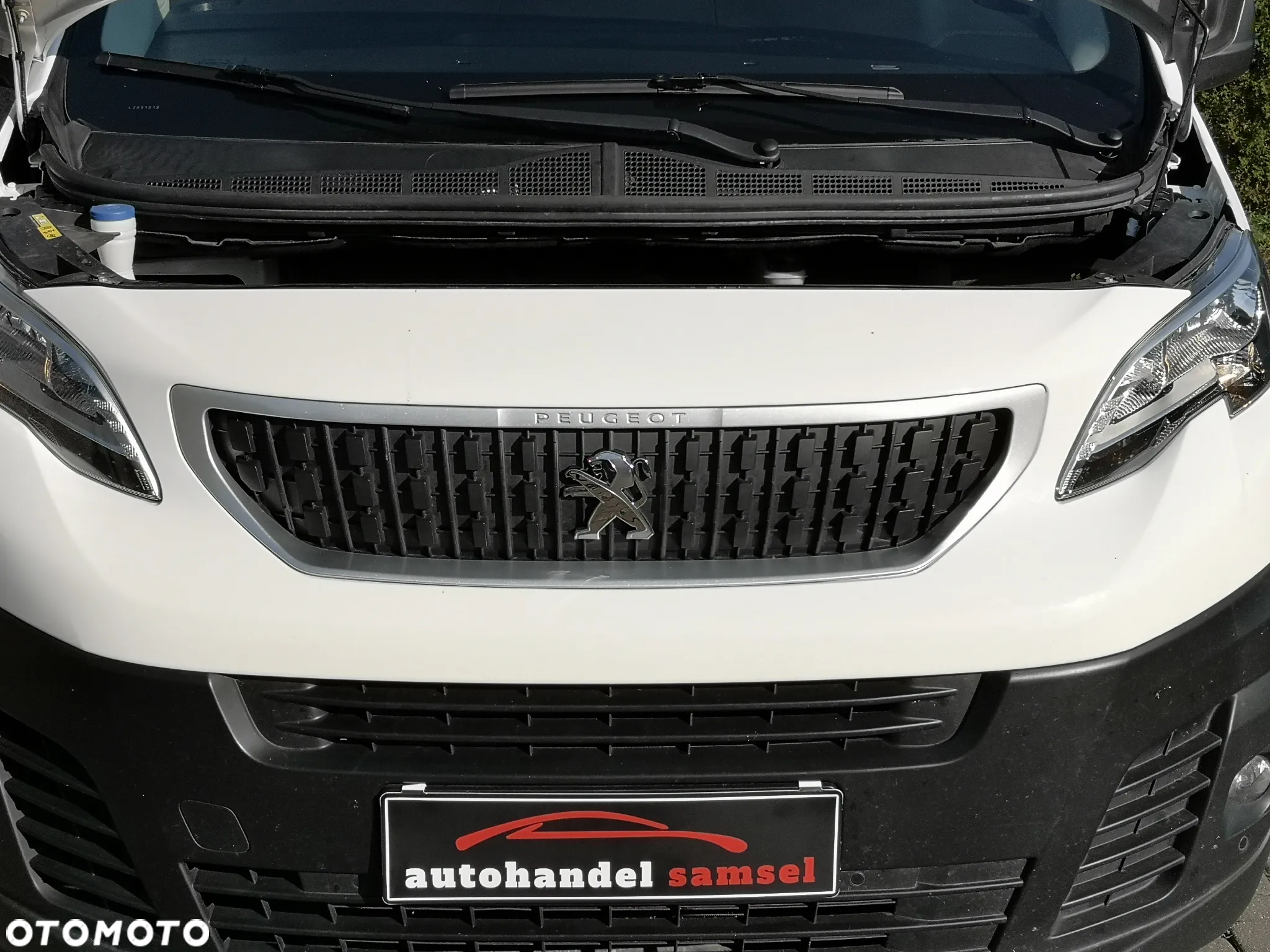 Peugeot Expert 2.0 BlueHDi 120 - 20