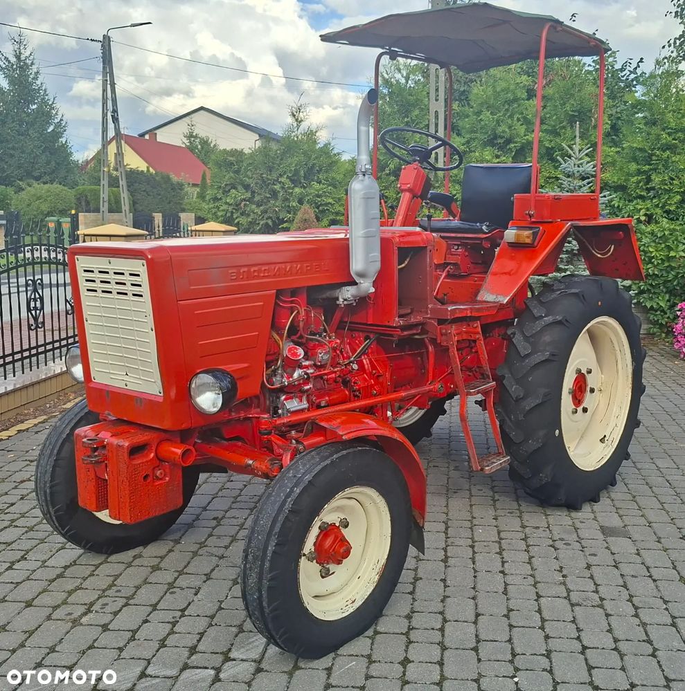 Belarus WŁADIMIREC RUSKI T-25 - 1