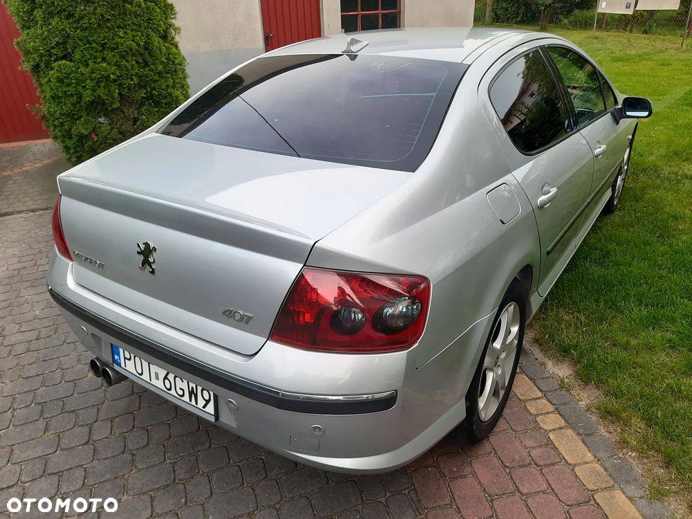 Peugeot 407 160 Platinum - 13