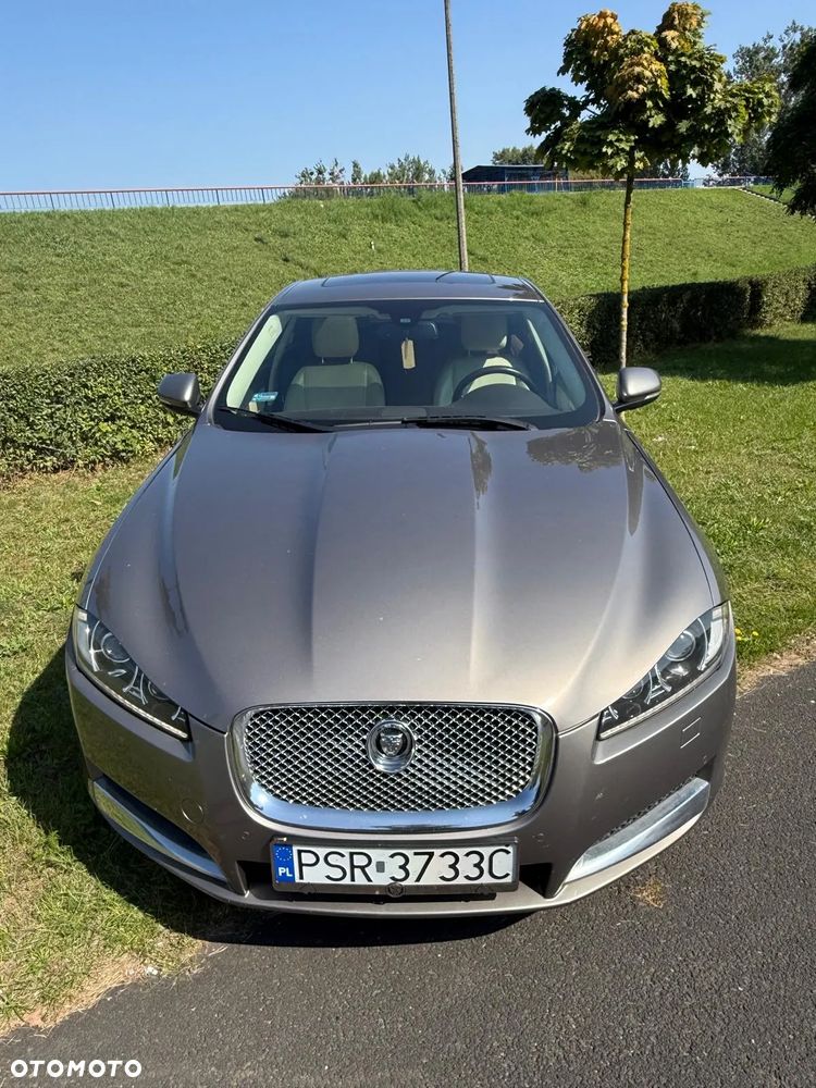 Jaguar XF 3.0 V6 D Luxury - 15