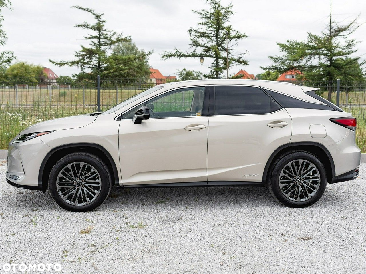 Lexus RX 450h F-Impression - 10