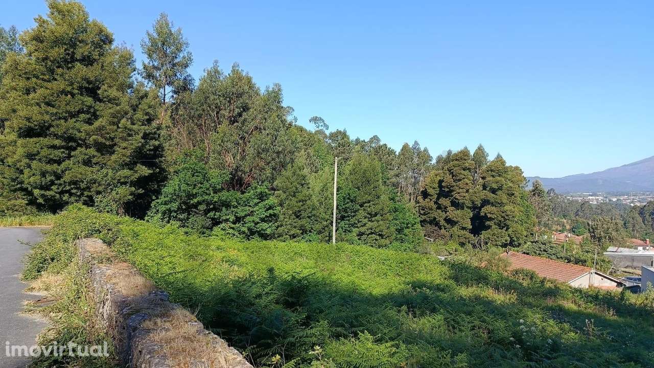 Terreno  em Geraz do Lima – 2508 m2 - Grande imagem: 4/4