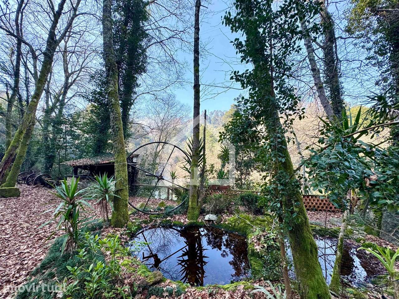 Quinta junto ao Rio Caima em Palmaz - Grande imagem: 5/24