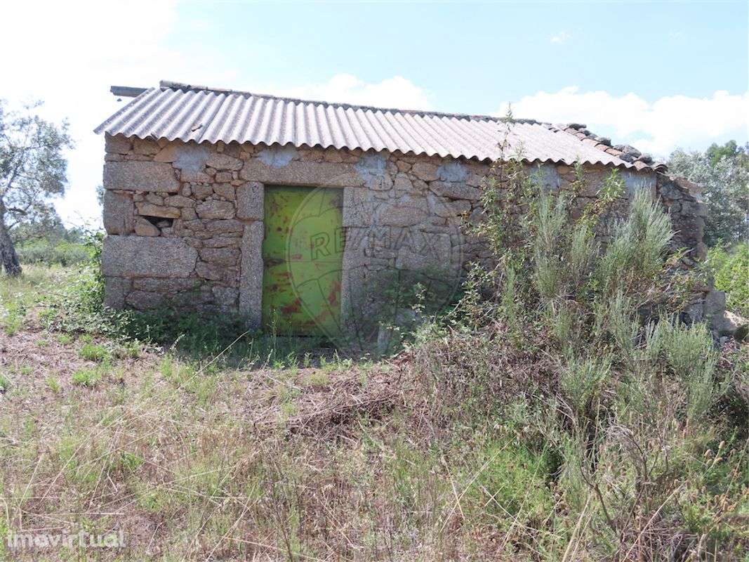 Quinta  para venda - Grande imagem: 2/13