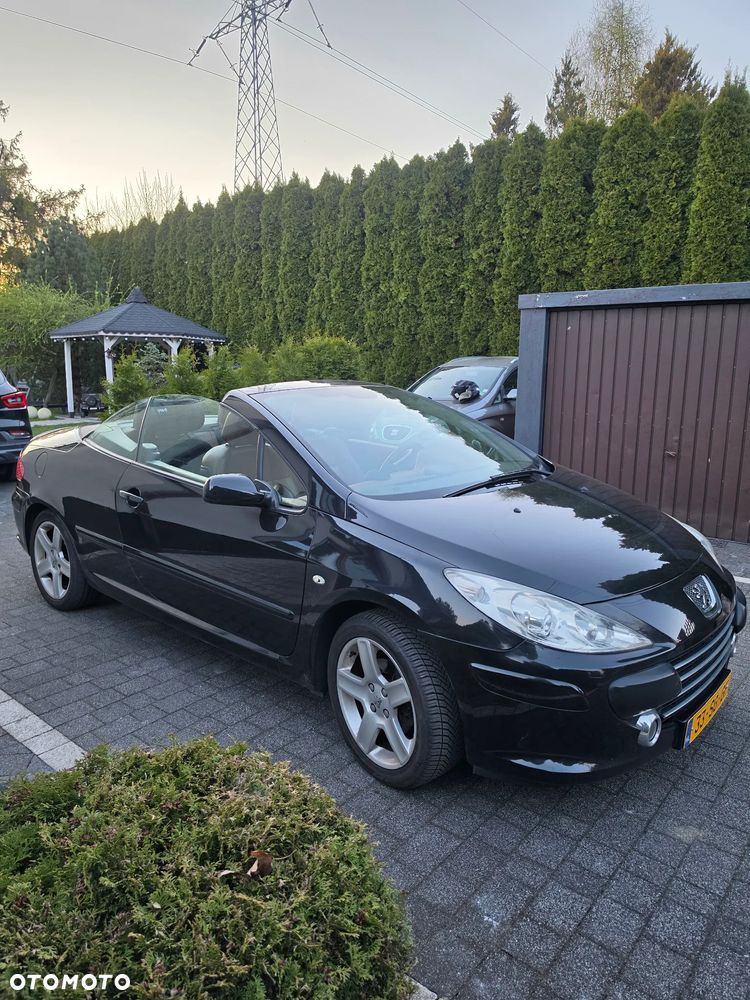 Peugeot 307 CC - 20