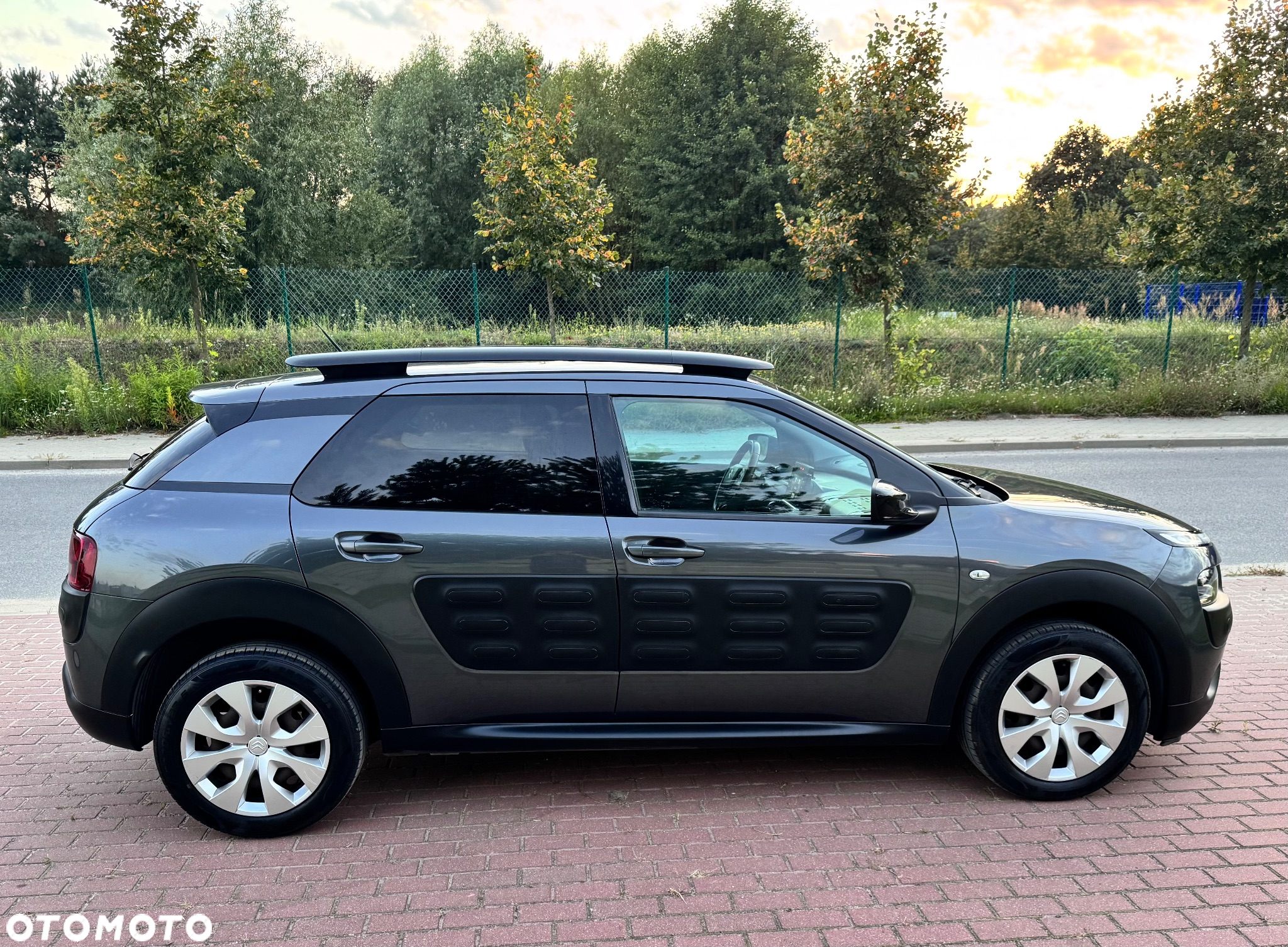 Citroën C4 Cactus 1.2 PureTech Shine S&S ETG - 6