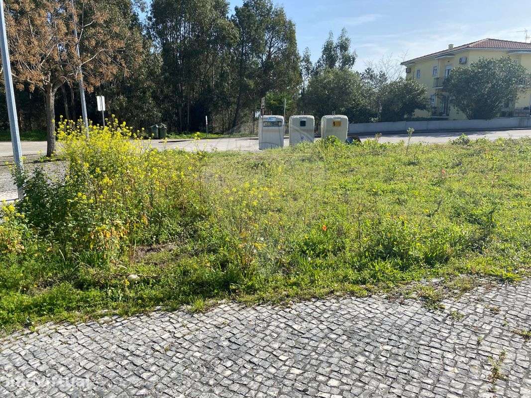 Terreno  para venda - Grande imagem: 2/3